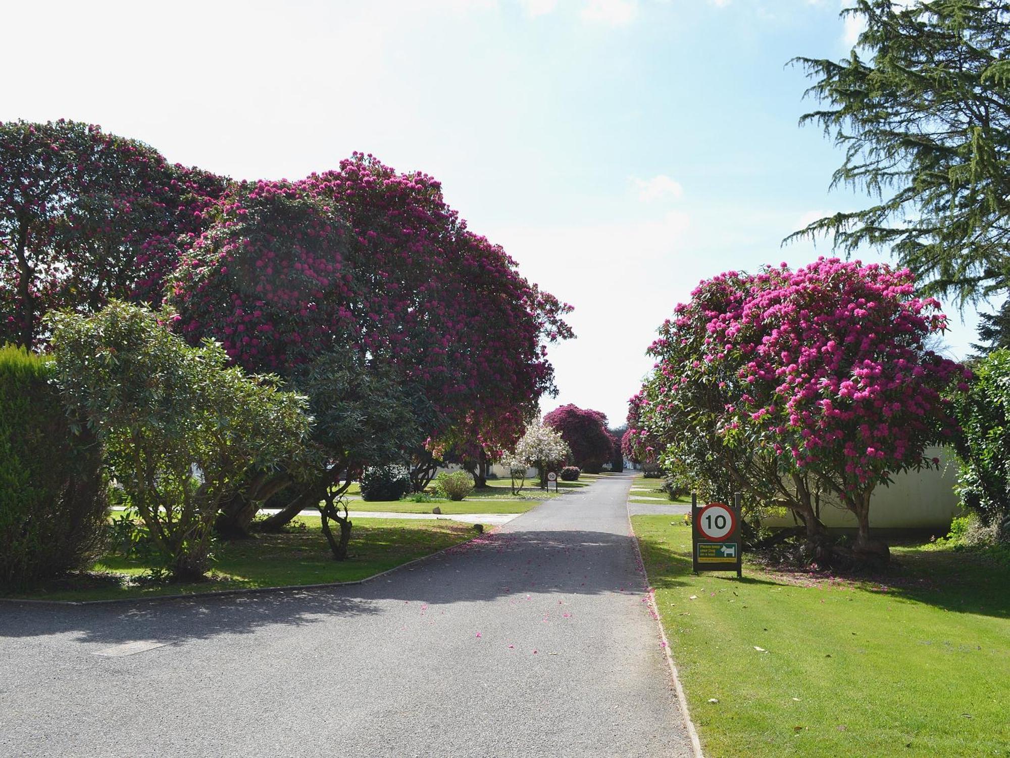 Vila Tresco - B6520 Saint Cleer Exteriér fotografie